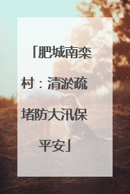 肥城南栾村：清淤疏堵防大汛保平安