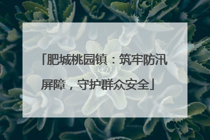 肥城桃园镇：筑牢防汛屏障，守护群众安全