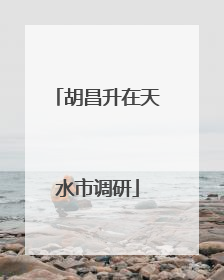 胡昌升在天水市调研