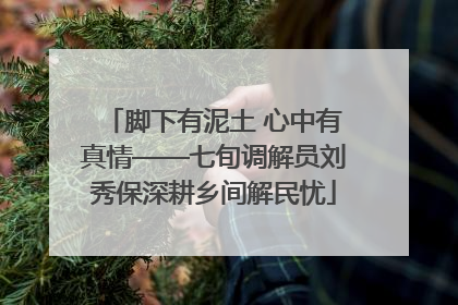 脚下有泥土 心中有真情——七旬调解员刘秀保深耕乡间解民忧