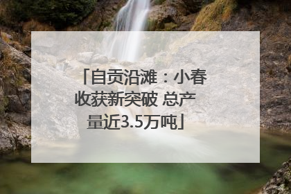自贡沿滩：小春收获新突破 总产量近3.5万吨