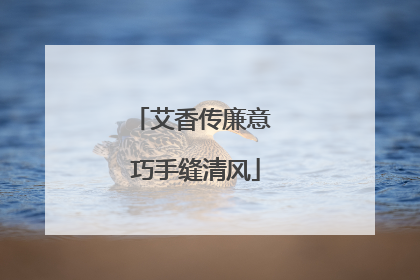 艾香传廉意 巧手缝清风