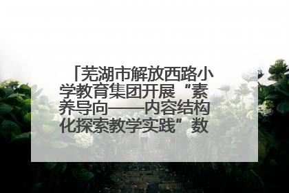 芜湖市解放西路小学教育集团开展“素养导向——内容结构化探索教学实践”数学专题研讨活动
