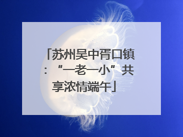 苏州吴中胥口镇：“一老一小”共享浓情端午