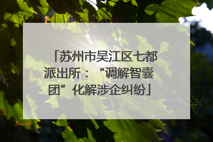 苏州市吴江区七都派出所：“调解智囊团”化解涉企纠纷