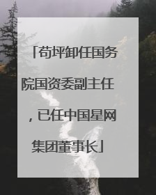 苟坪卸任国务院国资委副主任，已任中国星网集团董事长