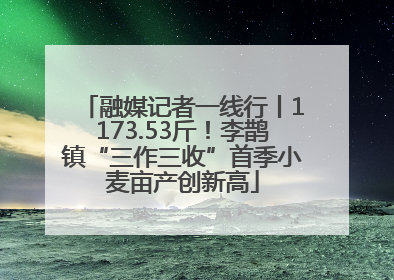 融媒记者一线行丨1173.53斤！李鹊镇“三作三收”首季小麦亩产创新高