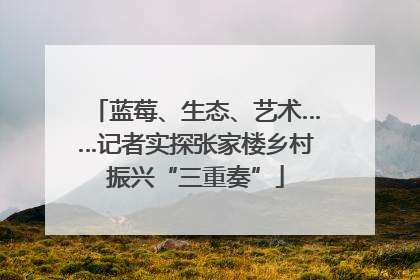 蓝莓、生态、艺术……记者实探张家楼乡村振兴“三重奏”