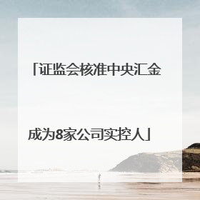 证监会核准中央汇金成为8家公司实控人
