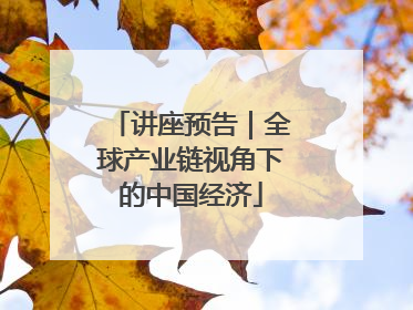 讲座预告｜全球产业链视角下的中国经济