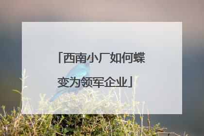 西南小厂如何蝶变为领军企业