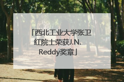 西北工业大学张卫红院士荣获J.N.Reddy奖章