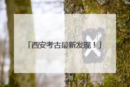 西安考古最新发现！