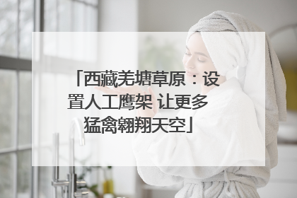 西藏羌塘草原：设置人工鹰架 让更多猛禽翱翔天空
