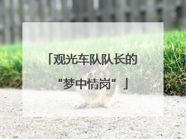 观光车队队长的“梦中情岗”