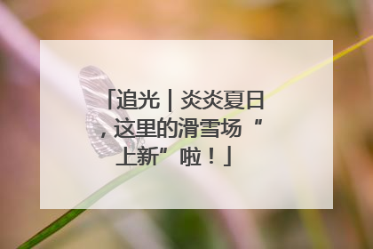 追光｜炎炎夏日，这里的滑雪场“上新”啦！