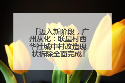 迈入新阶段，广州从化：联星村西华社城中村改造现状拆除全面完成