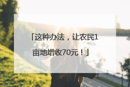 这种办法，让农民1亩地增收70元！