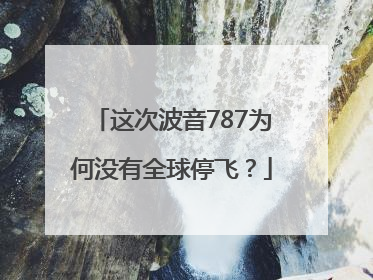 这次波音787为何没有全球停飞？