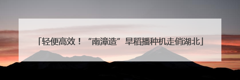 轻便高效！“南漳造”旱稻播种机走俏湖北