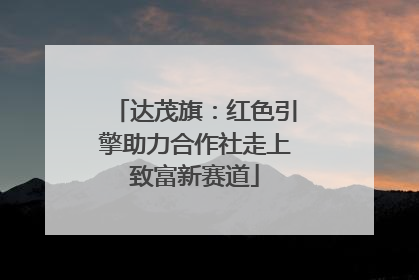 达茂旗：红色引擎助力合作社走上致富新赛道