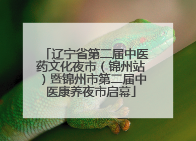 辽宁省第二届中医药文化夜市（锦州站）暨锦州市第二届中医康养夜市启幕