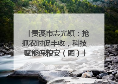 贵溪市志光镇：抢抓农时促丰收，科技赋能保粮安（图）