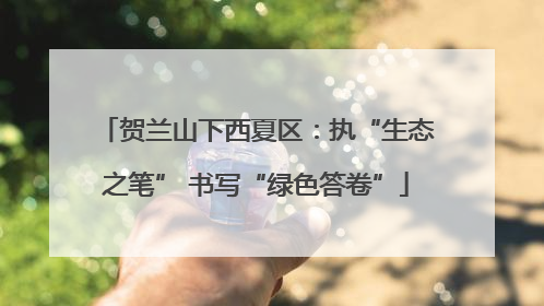 贺兰山下西夏区：执“生态之笔” 书写“绿色答卷”