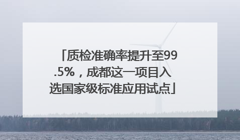 质检准确率提升至99.5%，成都这一项目入选国家级标准应用试点