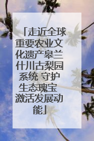 走近全球重要农业文化遗产皋兰什川古梨园系统 守护生态瑰宝 激活发展动能