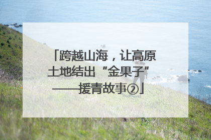 跨越山海，让高原土地结出“金果子”——援青故事②