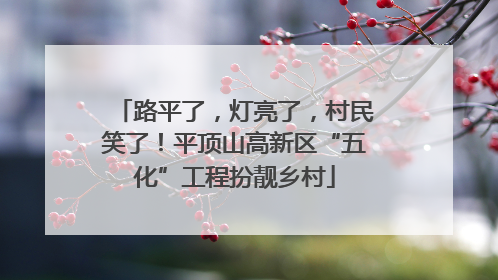 路平了，灯亮了，村民笑了！平顶山高新区“五化”工程扮靓乡村