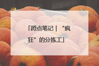 蹲点笔记｜“疯狂”的分拣工