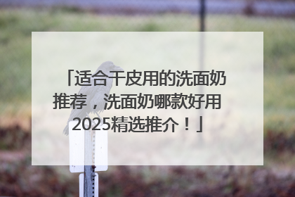 适合干皮用的洗面奶推荐，洗面奶哪款好用2025精选推介！