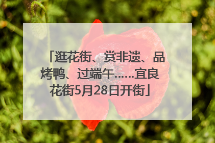 逛花街、赏非遗、品烤鸭、过端午……宜良花街5月28日开街