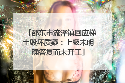 邵东市流泽镇回应梯土毁坏质疑：上级未明确答复而未开工