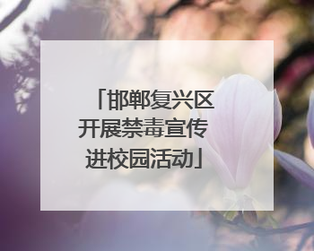 邯郸复兴区开展禁毒宣传进校园活动