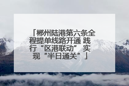 郴州陆港第六条全程提单线路开通 践行“区港联动” 实现“半日通关”