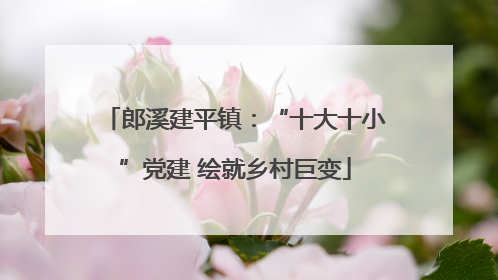 郎溪建平镇：“十大十小”党建 绘就乡村巨变