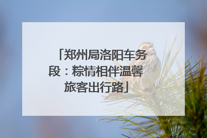 郑州局洛阳车务段：粽情相伴温馨旅客出行路
