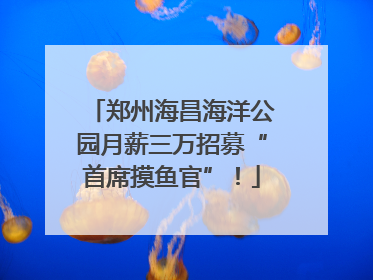 郑州海昌海洋公园月薪三万招募“首席摸鱼官”！