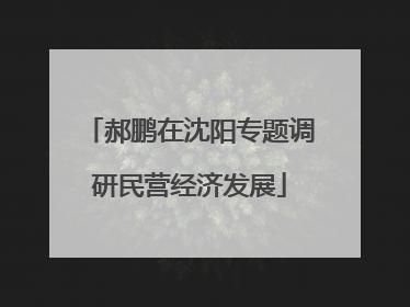 郝鹏在沈阳专题调研民营经济发展
