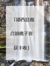 郧西县观音镇桃子喜获丰收