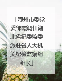 鄂州市委常委邹霞调任湖北省纪委监委派驻省人大机关纪检监察组组长
