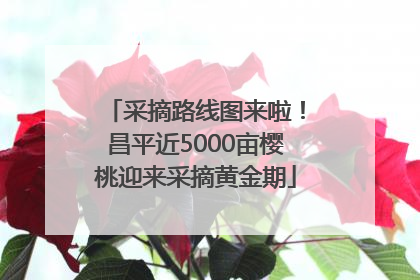 采摘路线图来啦！昌平近5000亩樱桃迎来采摘黄金期
