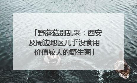 野蘑菇别乱采：西安及周边地区几乎没食用价值较大的野生菌