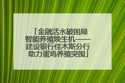 金融活水破困局 智能养殖焕生机——建设银行佳木斯分行助力蛋鸡养殖突围