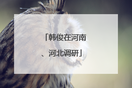韩俊在河南、河北调研