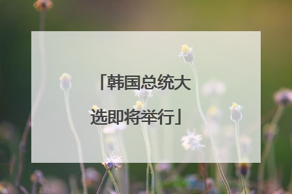 韩国总统大选即将举行