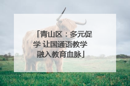 青山区：多元促学 让国通语教学融入教育血脉